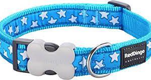 Red Dingo Stars white on Turquoise Dog Collar