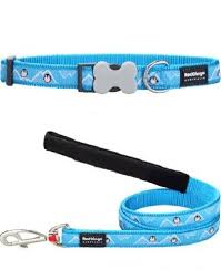 Red Dingo Stars white on Turquoise Dog Lead