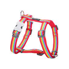 Red Dingo Rainbow Red Dog Harness