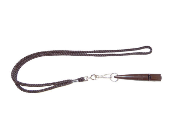 Sporting Saints 210.5 Whistle and Lanyard Set - Image 5