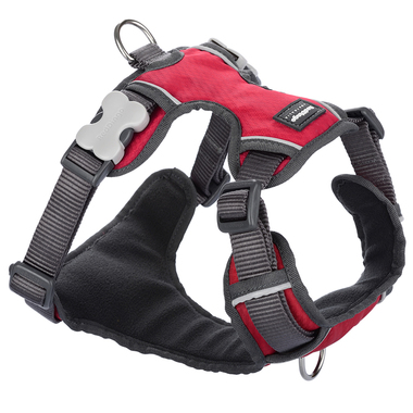 Red Dingo Padded Harness - Red