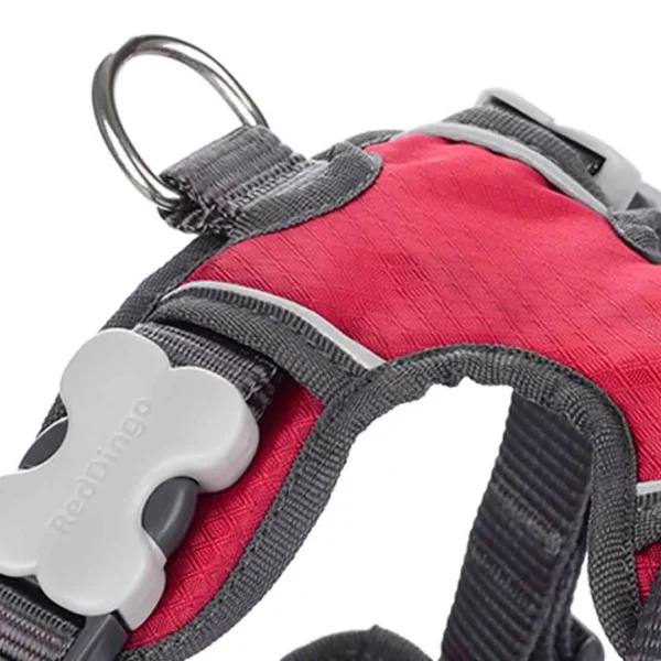 Red Dingo Padded Harness - Red - Image 2