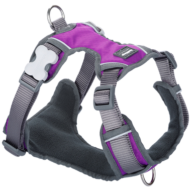 Red Dingo Padded Harness - Purple