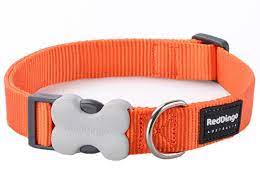 Red Dingo Classic Dog Collar - Orange