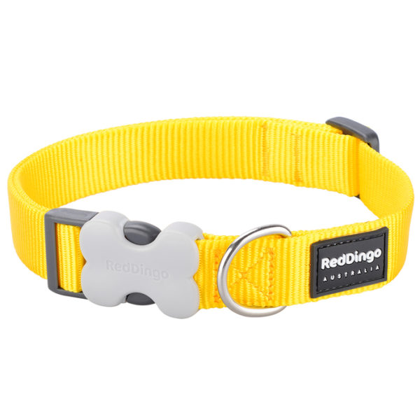 Red Dingo Classic Dog Collar - Yellow