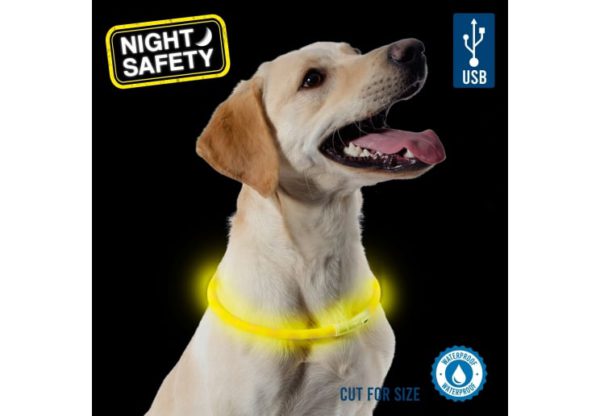 Ancol Flashing High Visibility Band for Dogs - Image 2