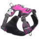 Red Dingo Padded Harness - Hot Pink