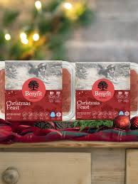 Benyfit Natural Christmas Dinner 80*10*10