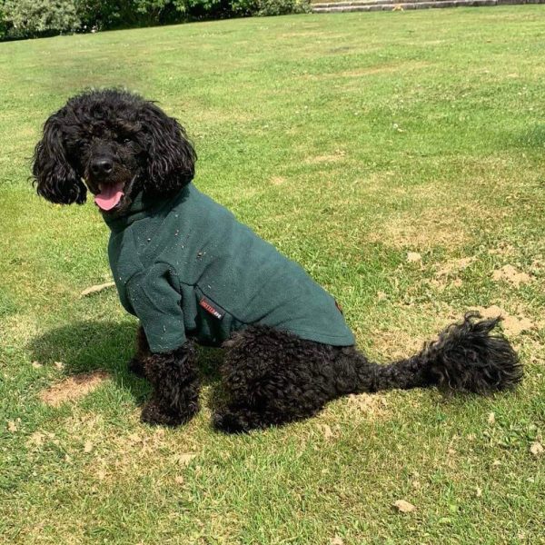 HotterDog Jumper - Forest Green