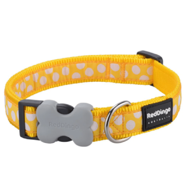 Red Dingo Collar - Yellow with spots