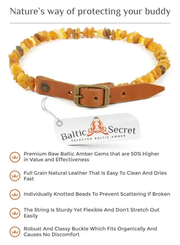 Baltic Secret Amber Collars for Dogs and Cats with an adjustable Leather Strap - Image 3
