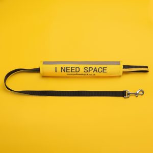 Yellow Dog - I Need Space Lead Cover