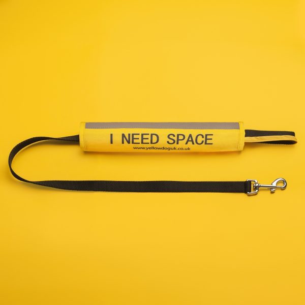 Yellow Dog - I Need Space Lead Cover