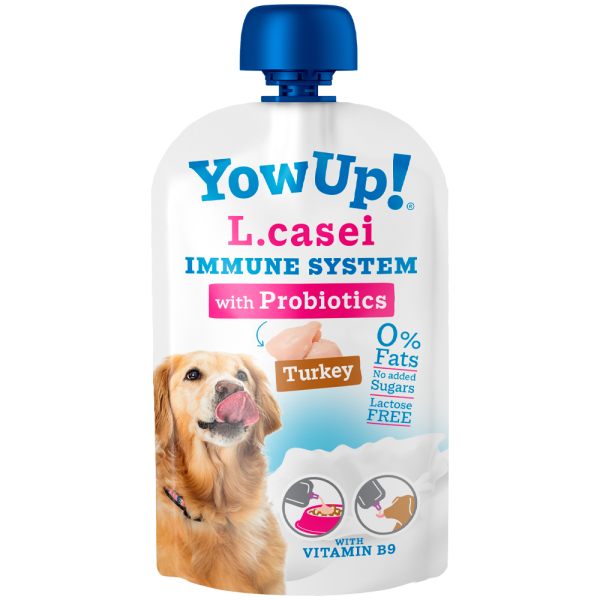 YowUp  Yoghurt for dogs with L.Casei - Immune Support