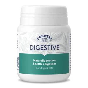 Dorwest Herbs Digestive Tablets - 200