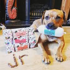 JR Pet Products - Christmas Crackers - Various Flavours