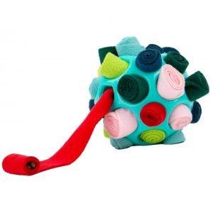 Orva Interactive Snuffle Ball