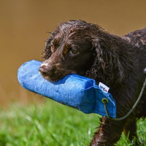 Sporting Saint - Canvas Training Dummy - 1lb