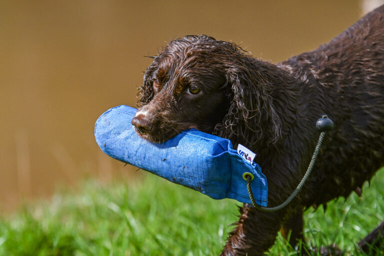 Sporting Saint - Canvas Training Dummy - 1lb