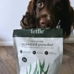 Fettle Seaweed Powder