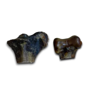 Anco Ostrich Knuckle - in various sizes