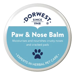 Dorwest Herbs Nose and Paw Balm  - 50ml