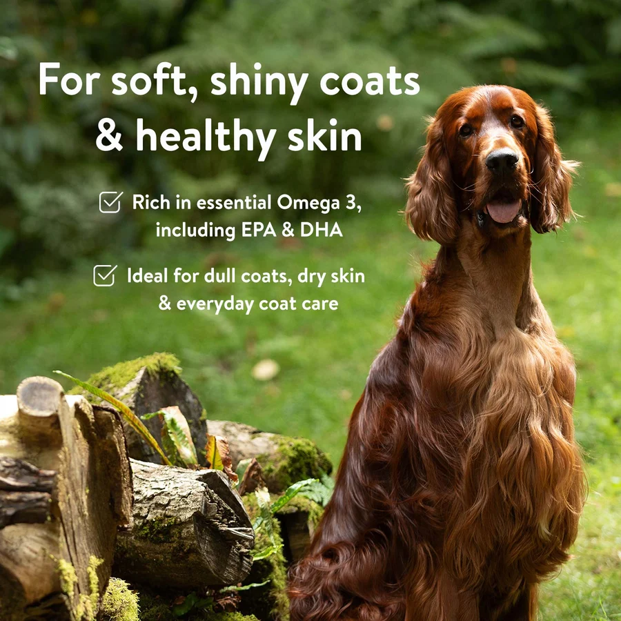Dorwest Herbs - Norwegian Salmon Oil 500ml - Image 2