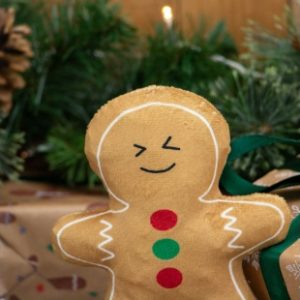Ancol Georgia Gingerbread festive dog toy