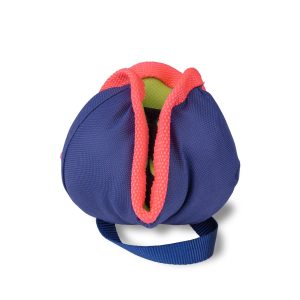Coachie Chase and Treat Interactive Toy