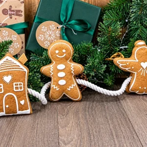 Ancol Squeaky Ginger Bread Rope Toy